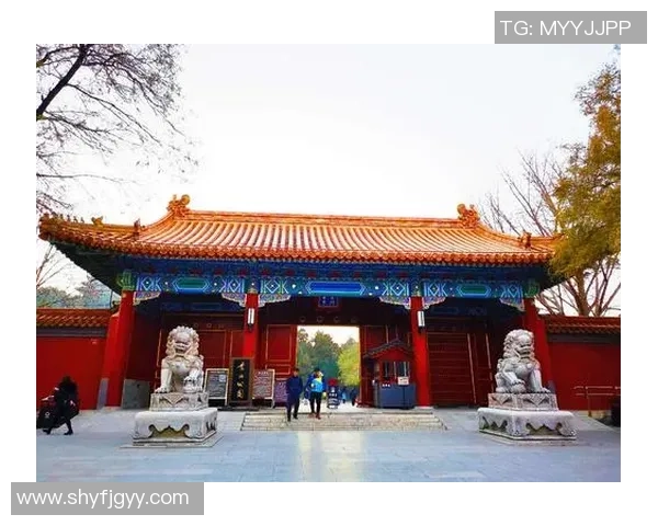 《如何在以足球星卡竞技场中提升战术水平与卡片组合策略》 《如何在以足球星卡竞技场中提升战术水平与卡片组合策略》