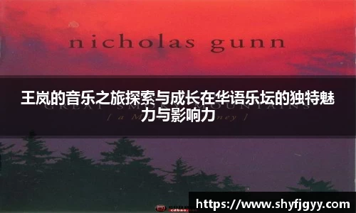 王岚的音乐之旅探索与成长在华语乐坛的独特魅力与影响力