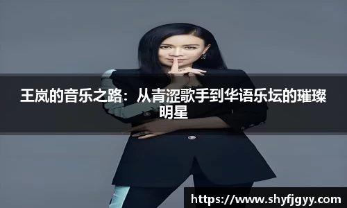 王岚的音乐之路：从青涩歌手到华语乐坛的璀璨明星