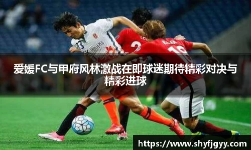 爱媛FC与甲府风林激战在即球迷期待精彩对决与精彩进球